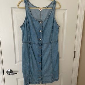 Large denim button front dress.